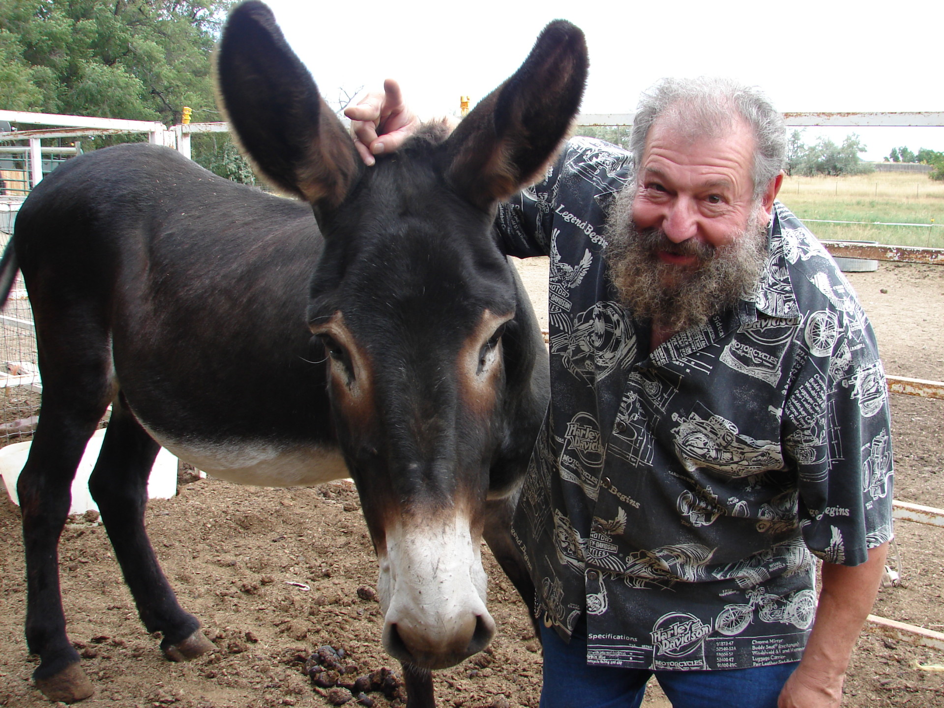Bernard Rollin jokes around with a friend's pet mule