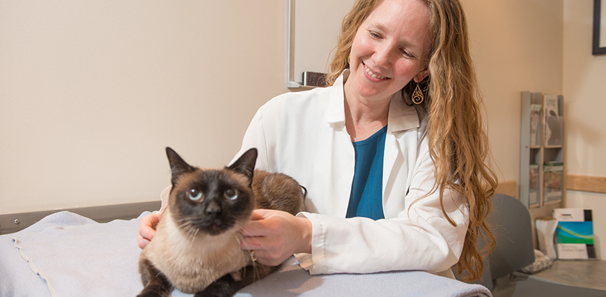 Shelley Holland and her cat "Baxter" meet with Dr. Jessica Quimby after Baxter has recovered from Pancreatitis. November 26, 2014