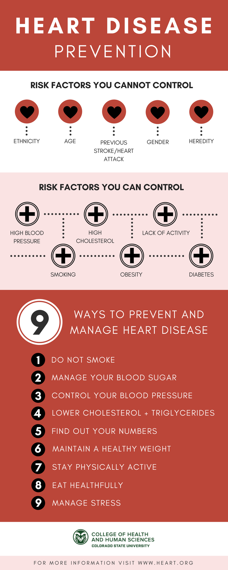 Learn more about the risk factors of heart disease and ways to prevent and manage it.