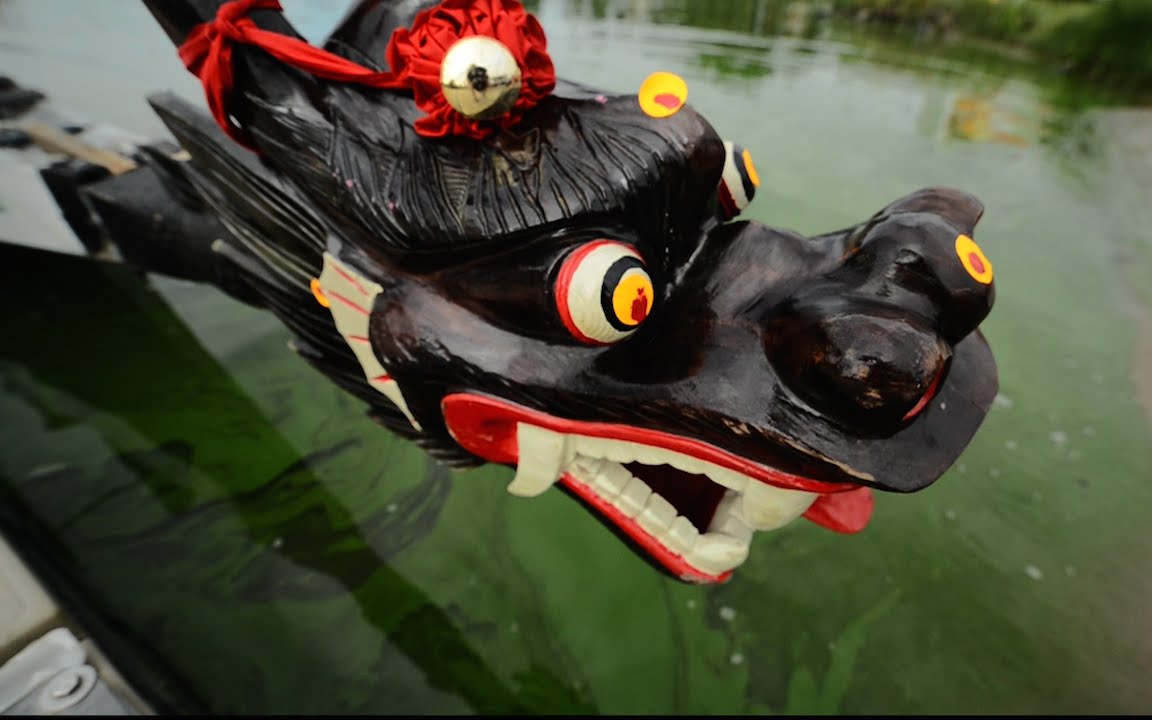 Racing with dragons: Students paddle in the Colorado Dragon Boat Festival