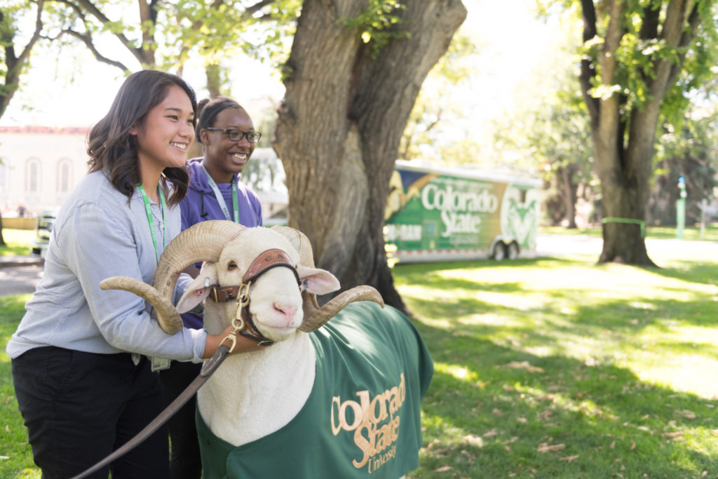 color photo of CSU mascot Cam the Ram with students
