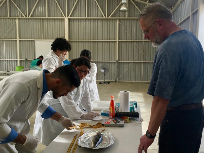 Todos Santos fish pathology workshop in action. Students examine fish with Dr. Todd O'Hara.