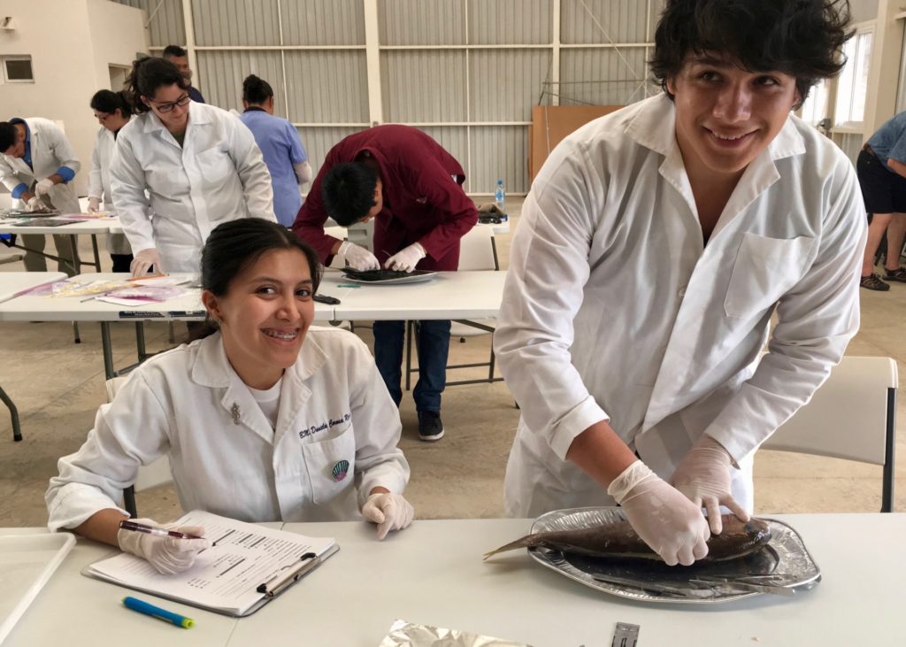 Todos Santos fish pathology workshop participants dissecting fish and taking notes in lab coats.