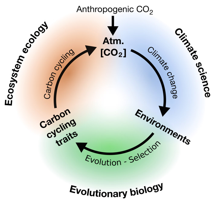 Climate change, evolution, and what happens when researchers are also  friends – Department of Biology