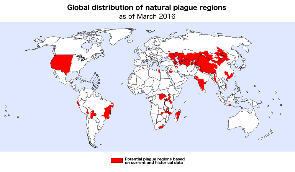 global distribution of plague