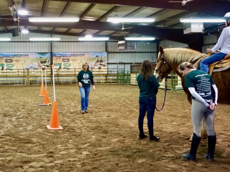 Volunteers lead student through adaptive riding exercise at Temple Grandin Equine Center Open House.