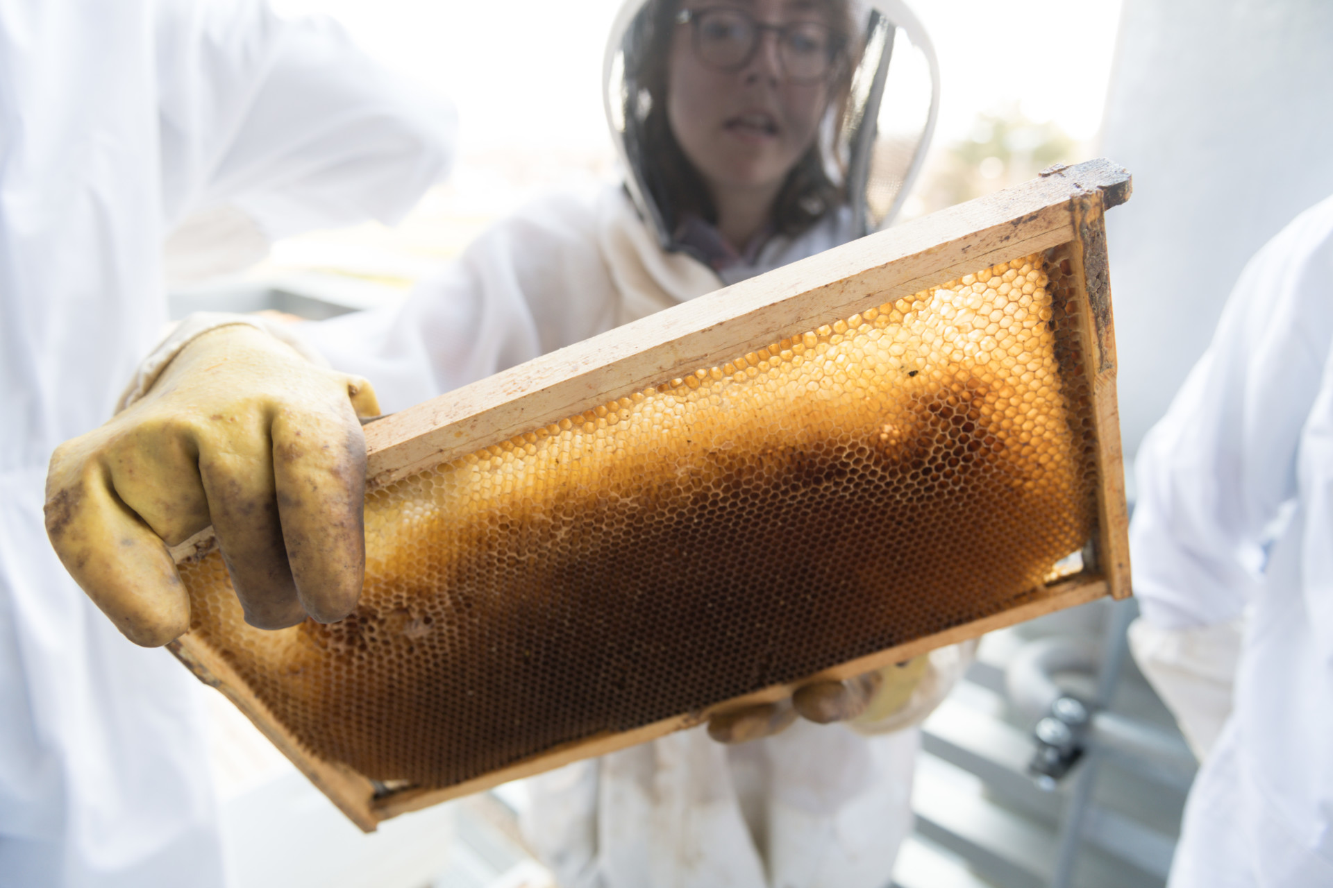 Christina Geldert holds a section of a bee hive