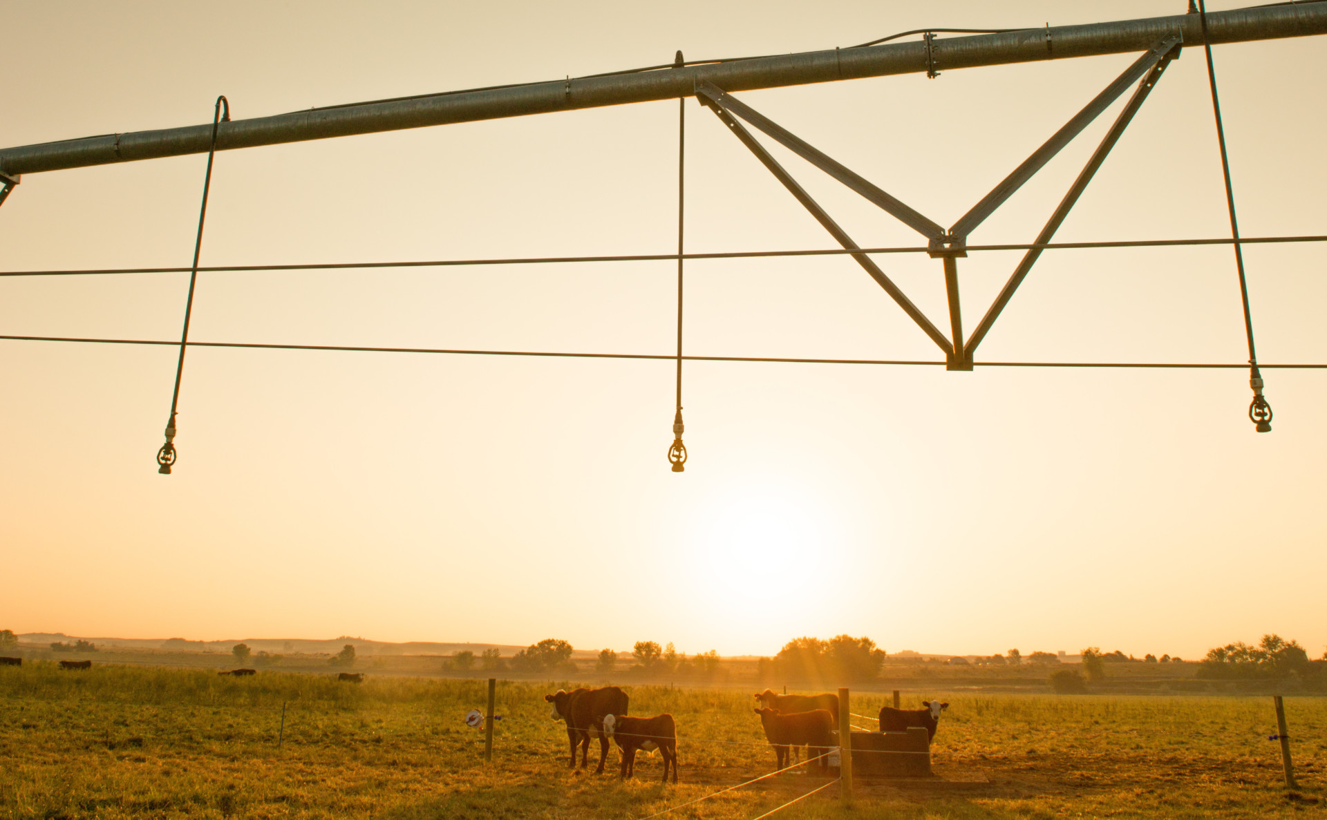 New Center Pivot Irrigation Sprinkler system installed at the Agricultural Research Development and Education Center at Colorado State University