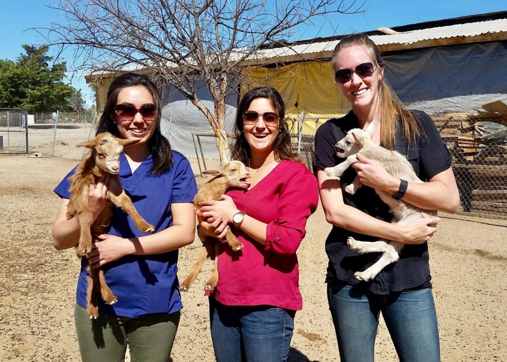 Todos Santos Center vet rotation participants holding goats and posing for photo.