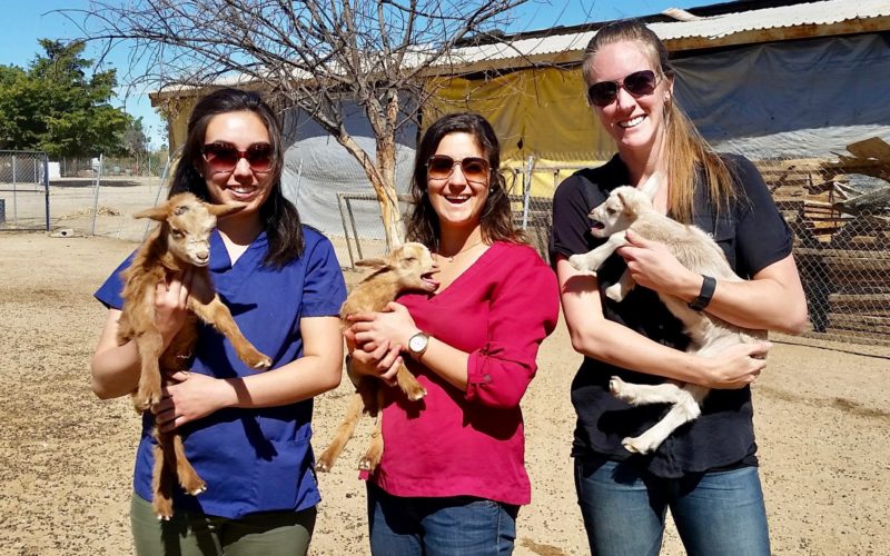 Todos Santos Center vet rotation participants holding goats and posing for photo.