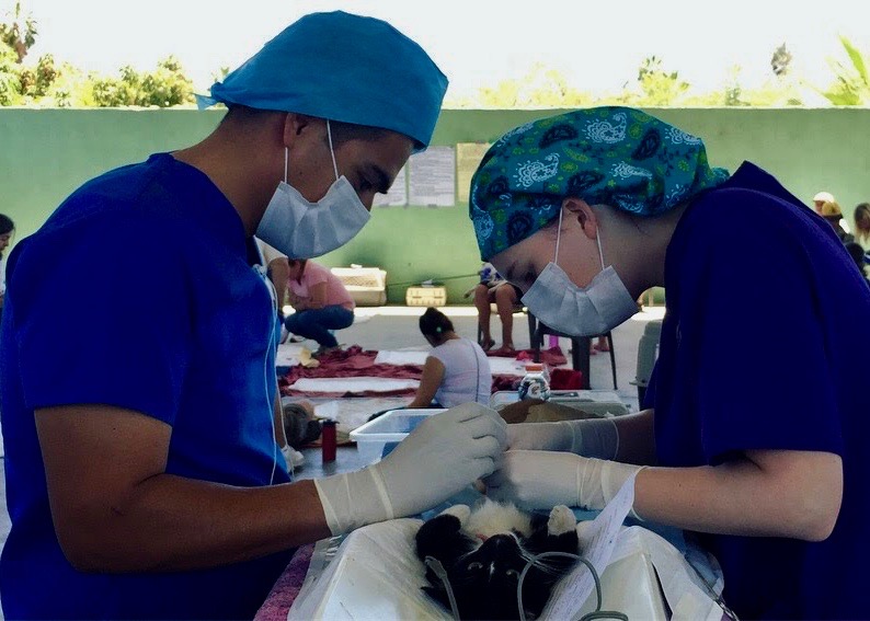 Todos Santos Center vet rotation participants performing surgery on cat.