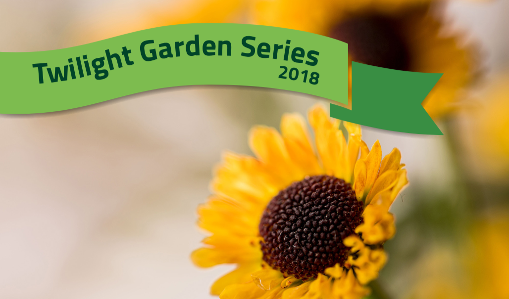 Picture of a sunflower announcing the Twilight Gardening Series for 2018
