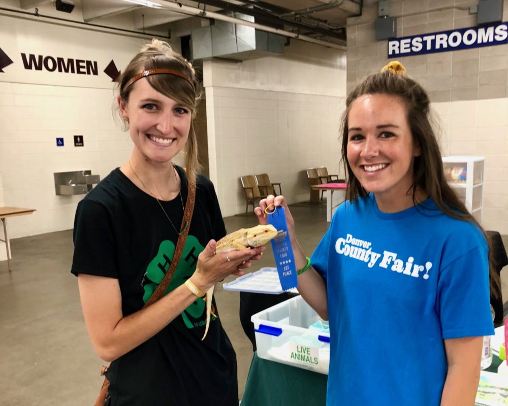 Denver 4-H team members hold Clem the Bearded Dragon next to Blue Ribbon at the Denver County Fair.
