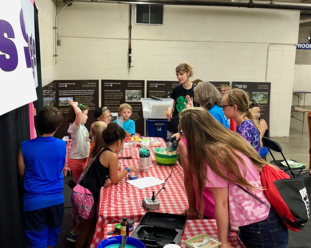Denver 4-H team member interacting with youth at Denver County Fair 2018.