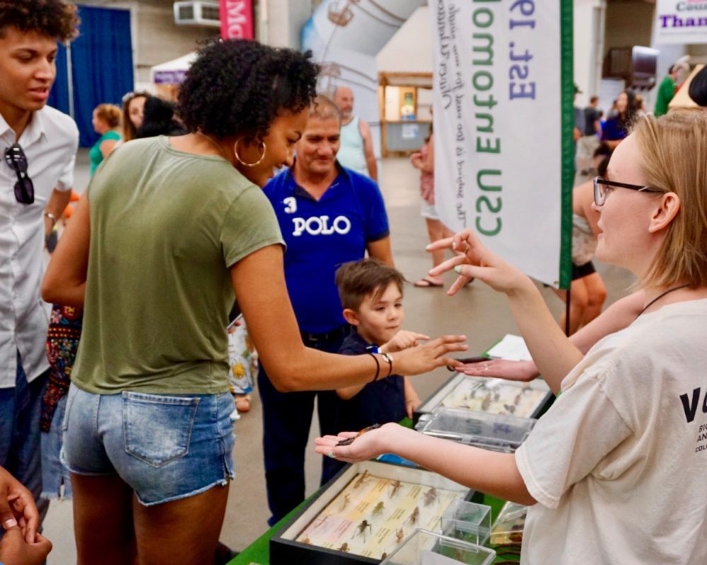 Young woman smiles as she pets millipede from the CSU Bug Zoo at the 2018 Denver County Fair.