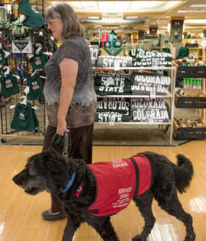 Kathleen Ivy and service dog Duncan at Bookstore