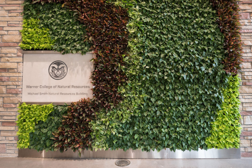 Living Wall in Michael Smith Natural Resources Building