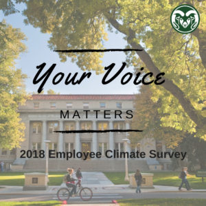 Your Voice Matters graphic