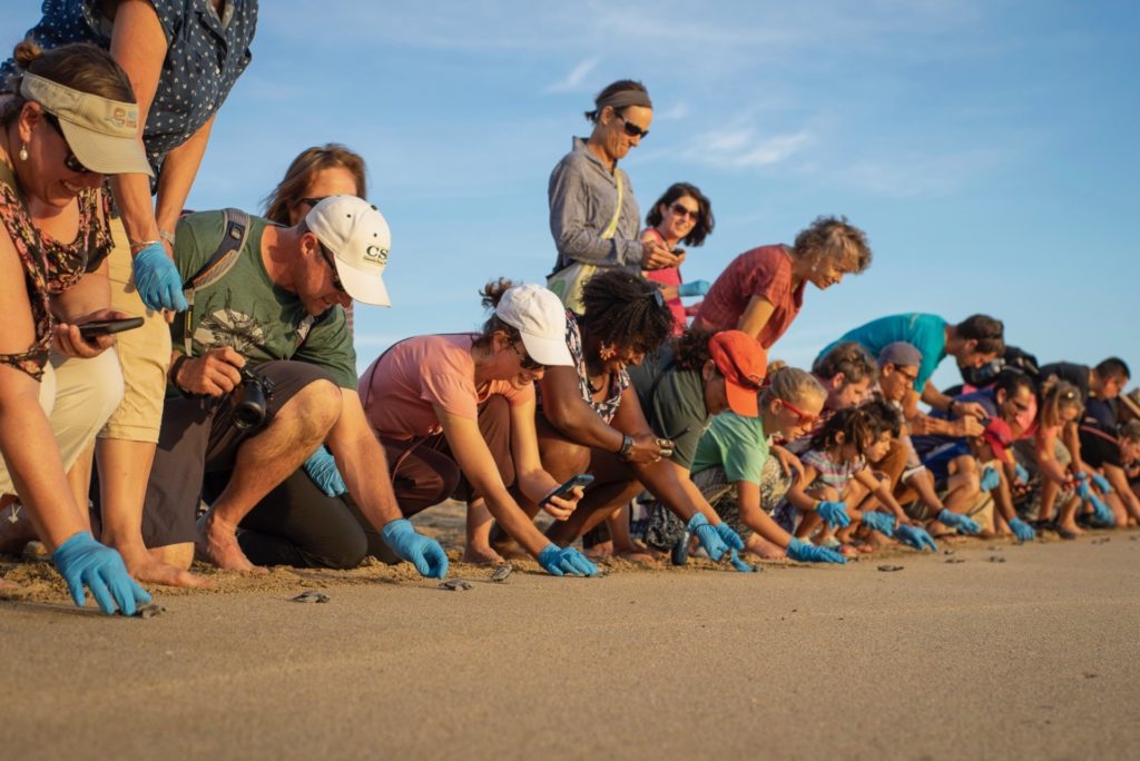 Participants of the 2018 Spanish & Culture Immersion Program at the CSU Todos Santos Center release baby sea turtles into the Pacific Ocean.