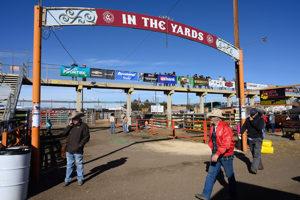 The stock yards at the 2019 National Western Stock Show,