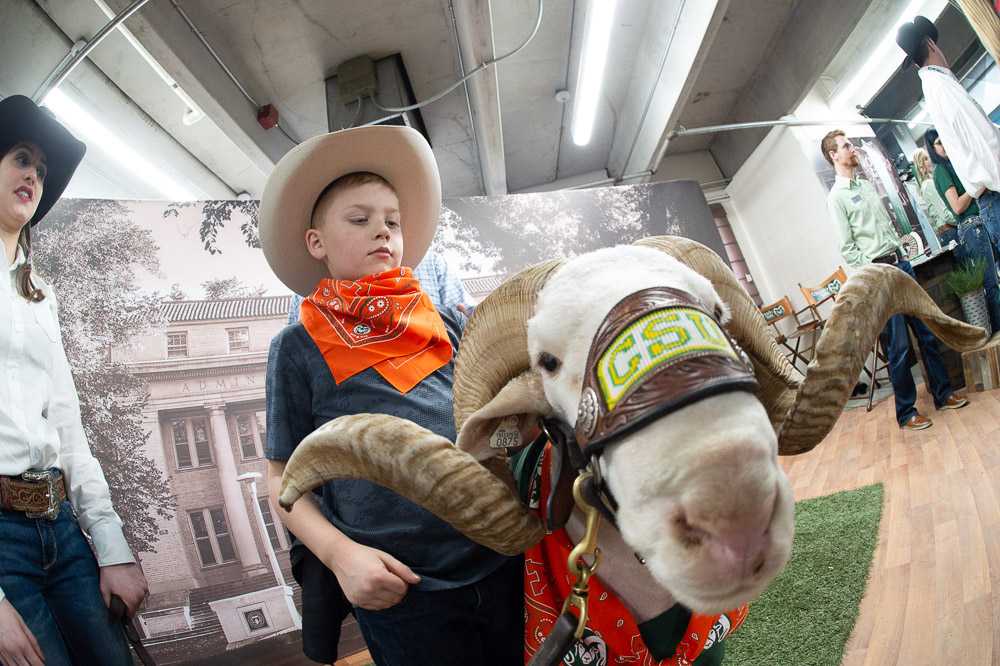 CAM the Ram with little cowboy