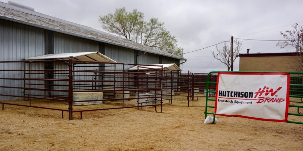 New stalls outside the temporary second location of the CSU Temple Grandin Equine Center in north Denver.