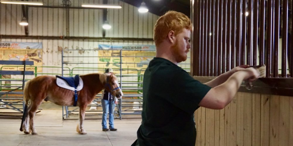 Michael McGrady dusts bars of horse stall at the CSU Temple Grandin Equine Center.