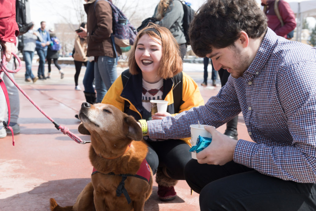 Colorado State University School of Education Therapy assistant professor Andrea Sebald's Human Animal Bond in Colorado therapy dog Lola entertains students and encourages them to get information on Summer Session during Pups on the Plaza