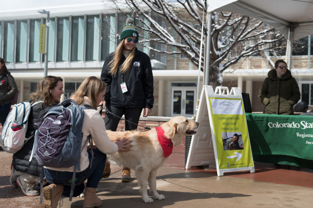Colorado State University social work student Emily Oltmanns' Human Animal Bond in Colorado therapy dog Haddix entertains students and encourages them to get information on Summer Session during Pups on the Plaza