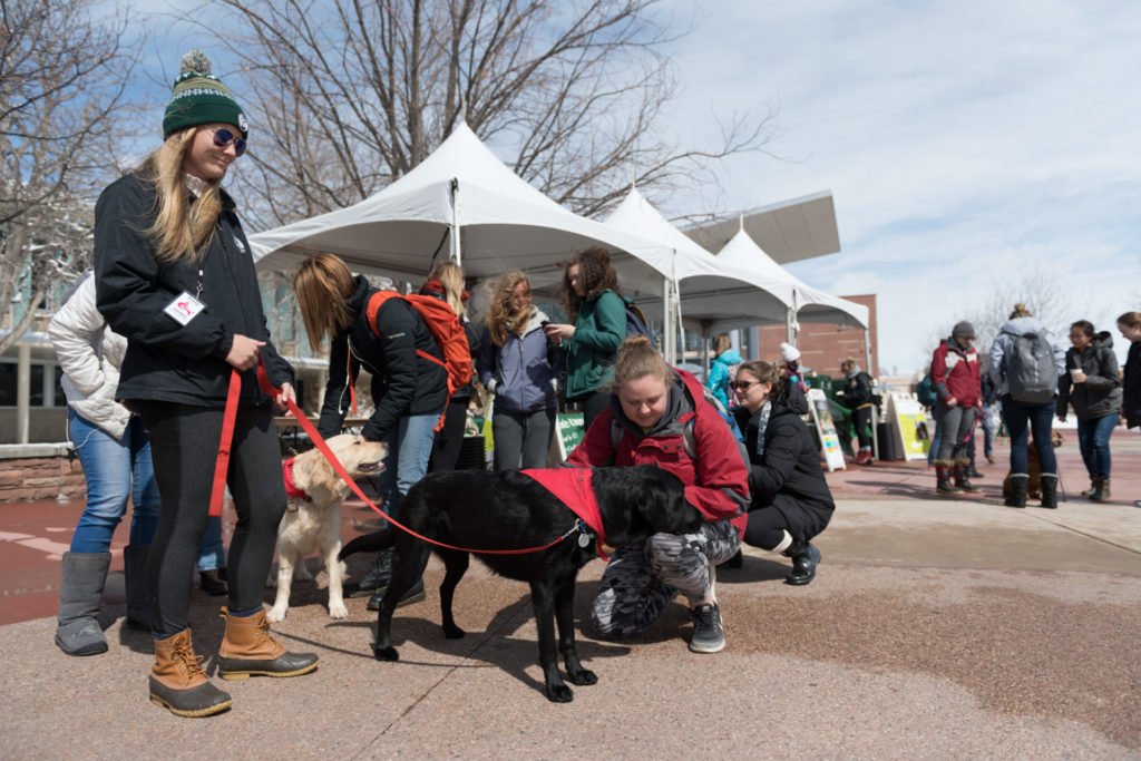 Colorado State University social work student Emily Oltmanns' Human Animal Bond in Colorado therapy dog Jackson entertains students and encourages them to get information on Summer Session during Pups on the Plaza