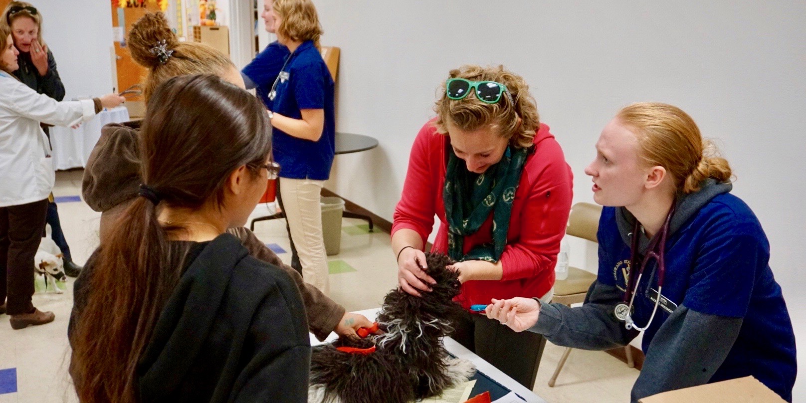 A CSU veterinarian gives a check-up to a puppy during the annual Focus on Health Community Clinic, hosted at Focus Points Family Resource Center.