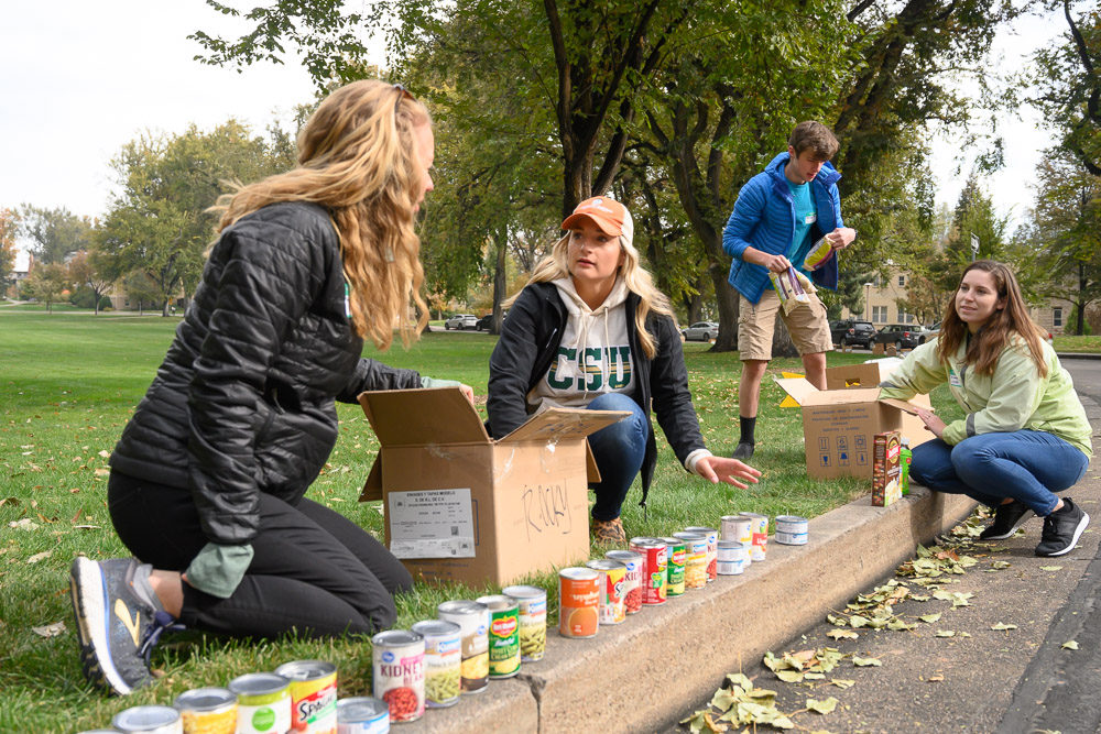 Setting cans along the Oval