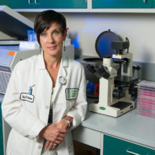 Nicole Ehrhart, Professor of Clinical Sciences, researches stem cells in the Animal Cancer Center. July 11, 2012