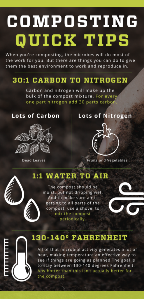 Composting Tips Infographic