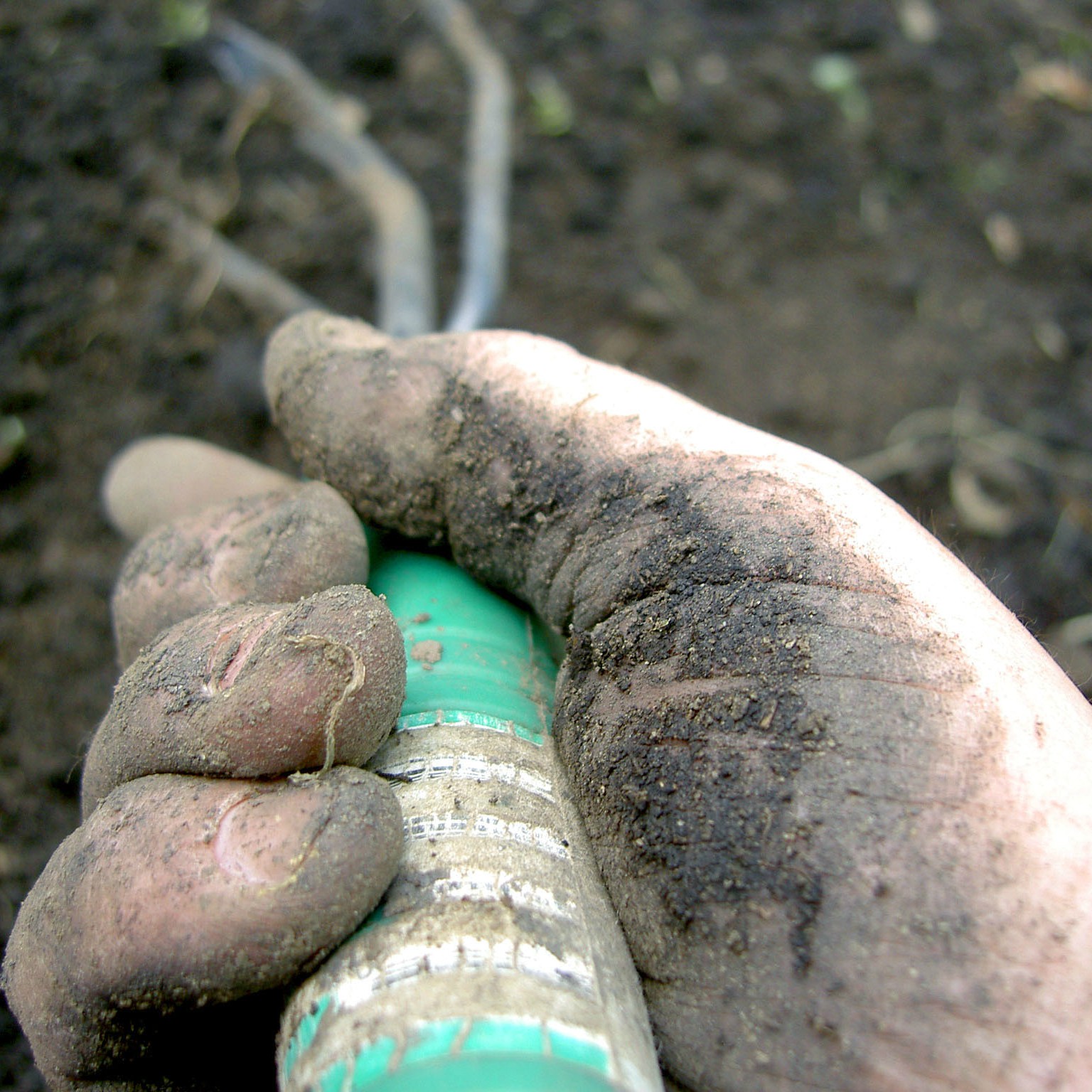 Soil biology research can help create a more sustainable future - Source