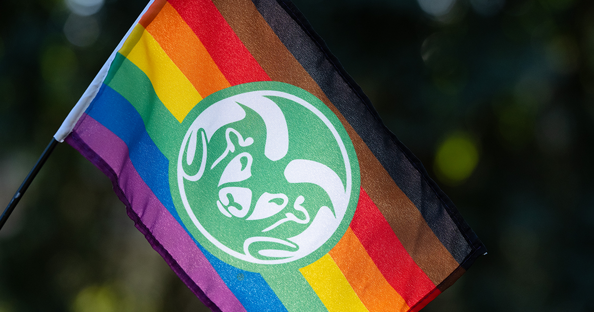 CSU Pride Flag