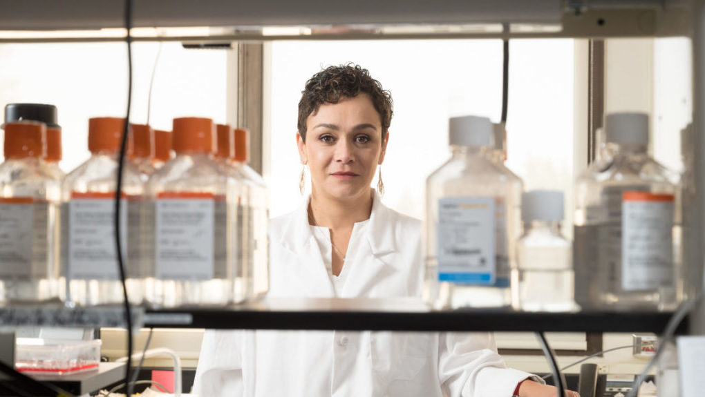 Marcela Henao-Tamayo in her lab