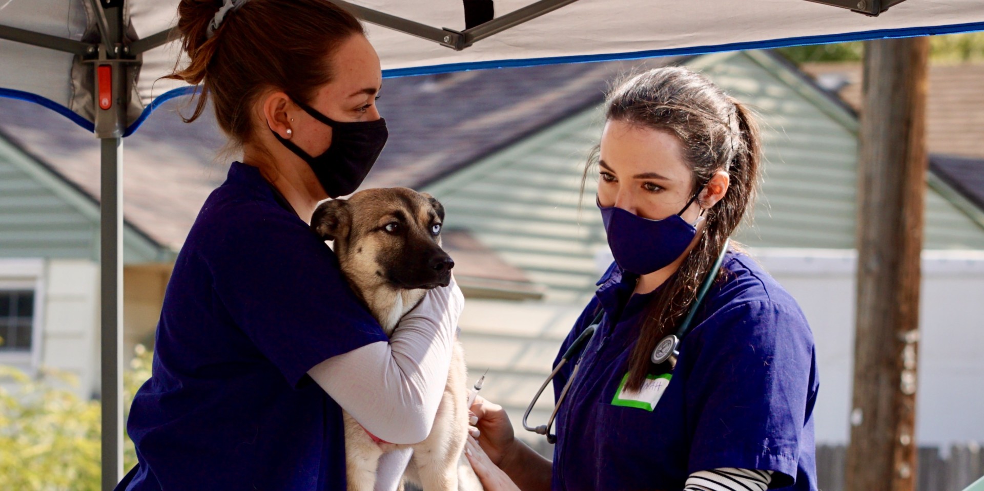 CSU D.V.M. student-volunteers examine dog at seventh annual CSU Spur Focus on Health Community Clinic in Denver on Oct. 3, 2020.
