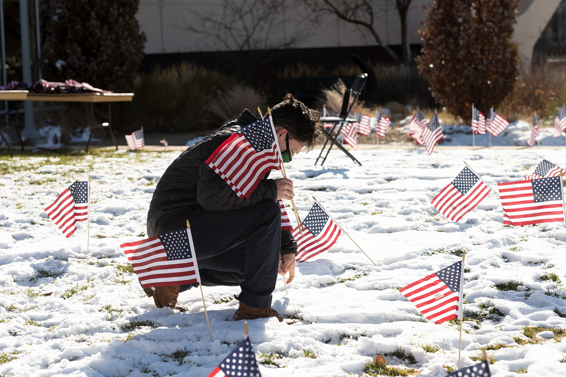 CSU student placing flags on campus for Veteran's Day