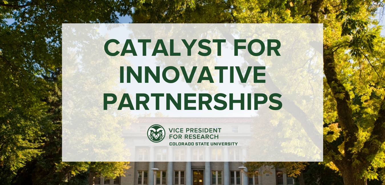 Catalyst For Innovative Partnerships logo