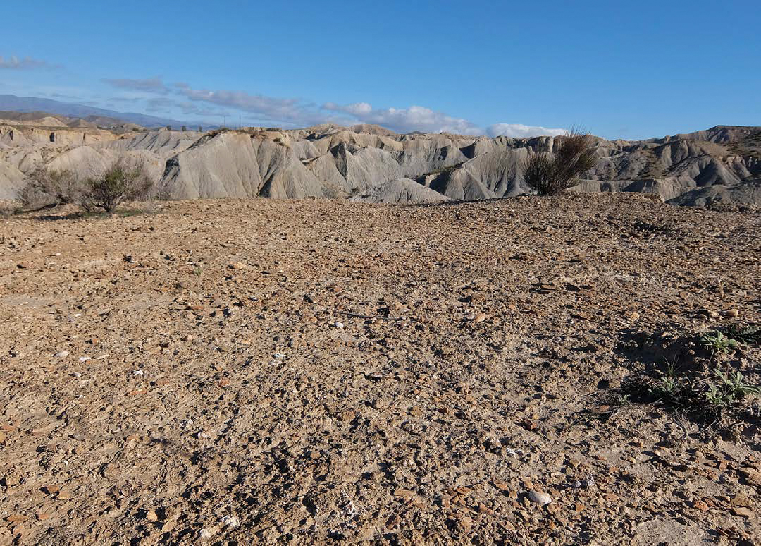 a cyanobacteria-dominated biocrust in the Tabernas desert in Spain
