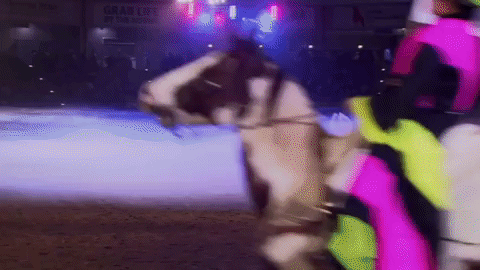 GIF: Scenes from An Evening of Dancing Horses at the National Western Stock Show
