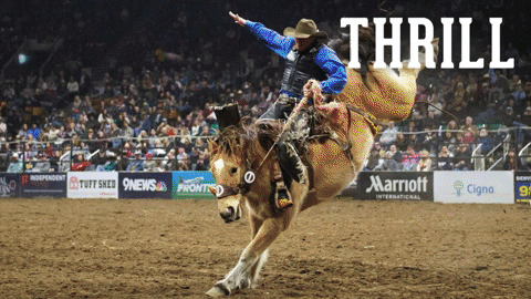 GIF: Scenes from rodeos at the National Western Stock Show