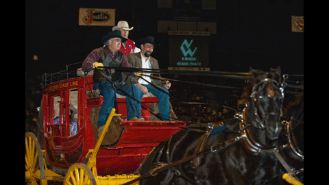 GIF: People ride horses and carriages