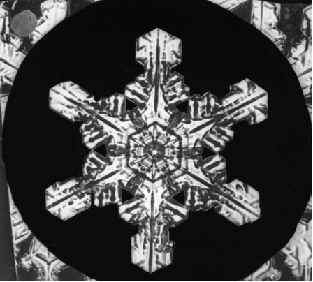 Snowflake magnified