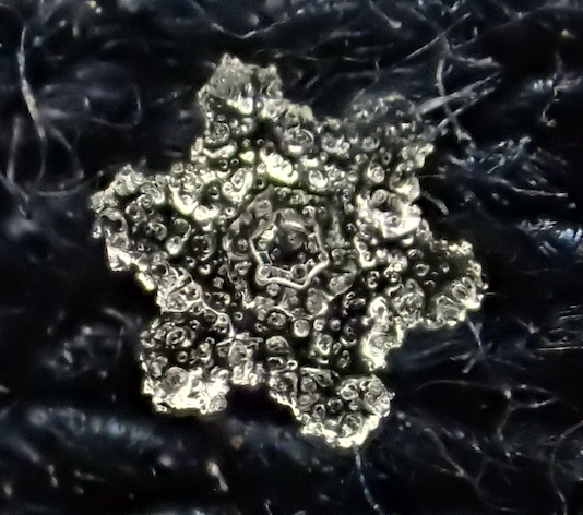 Ice-encrusted snowflake