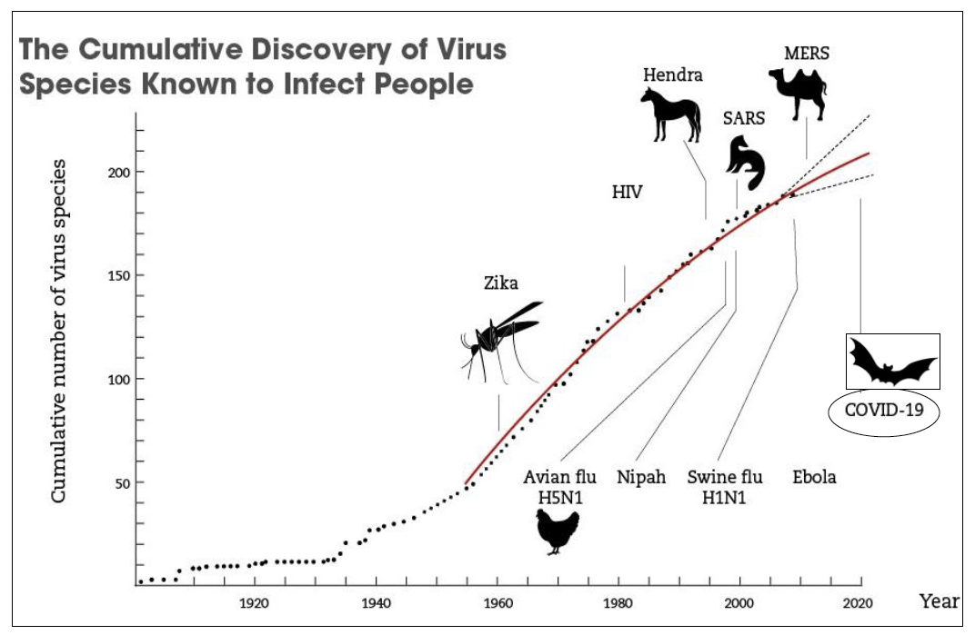 Graphic on virus transmission