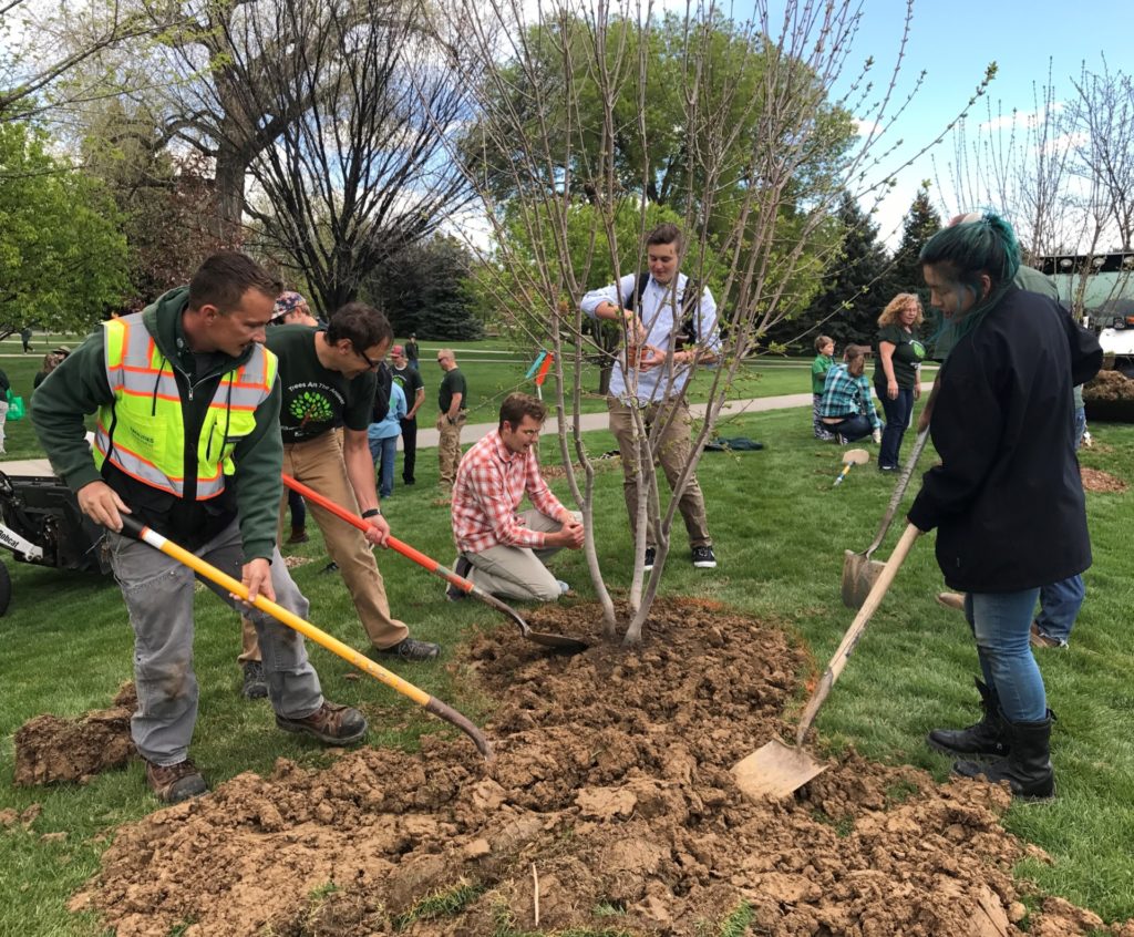 CSU community to plant 12 trees in celebration of Arbor Day