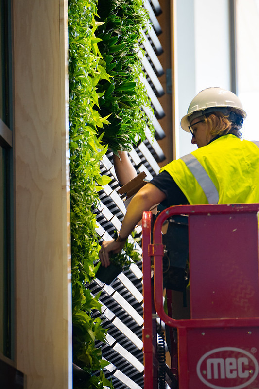 Person in construction gear on a lift adds plants to a vertical wall.