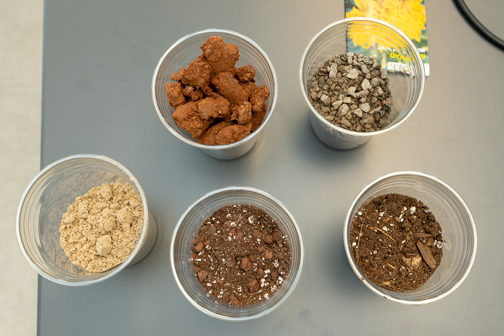 Soil samples at Terra